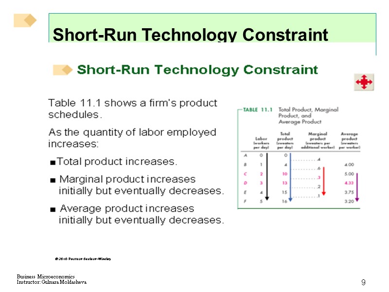 9 Short-Run Technology Constraint